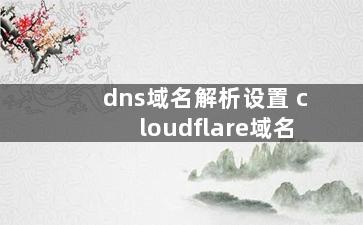 dns域名解析设置 cloudflare域名